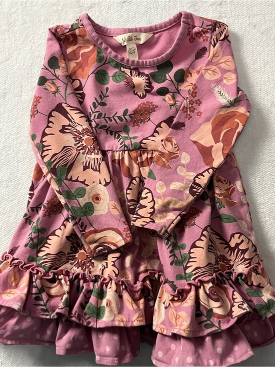 Matilda Jane Other - Matilda Jane Just Imagine Odette Dress 12-18M Pink Floral Ruffle Twirl Cottage